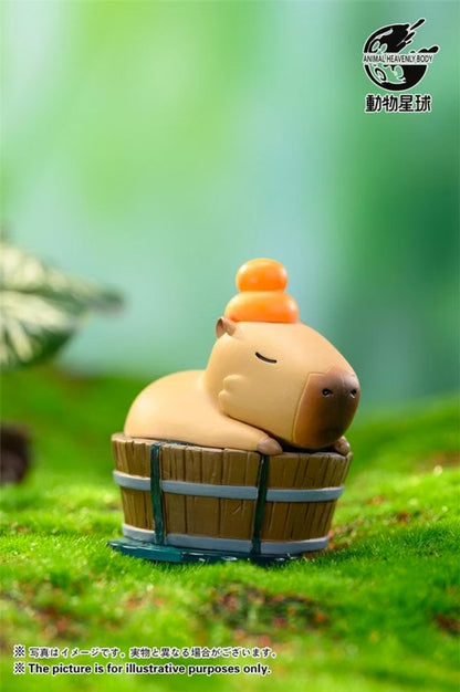 Animal Heavenly Body Capybara Series 1 Blind Box