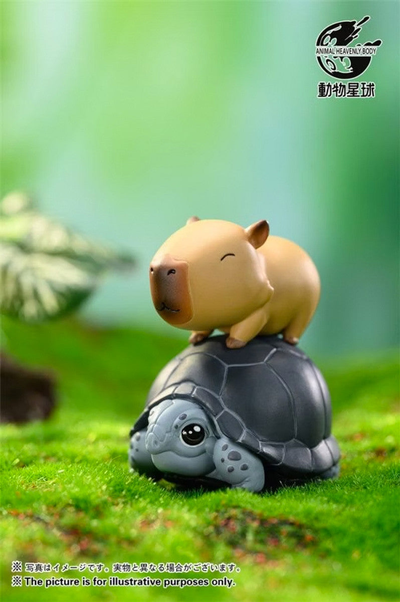 Animal Heavenly Body Capybara Series 1 Blind Box