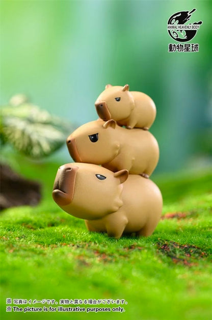 Animal Heavenly Body Capybara Series 1 Blind Box